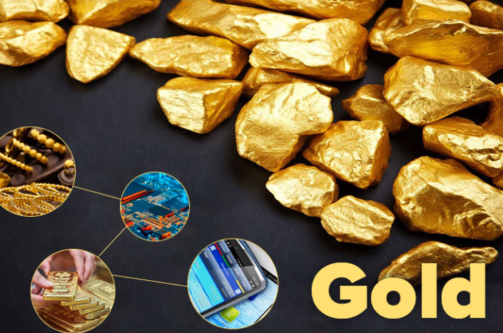 Capital Raising > Gold mining project