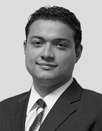 Eduardo Vargas | Mergers and Acquisitions Adviser