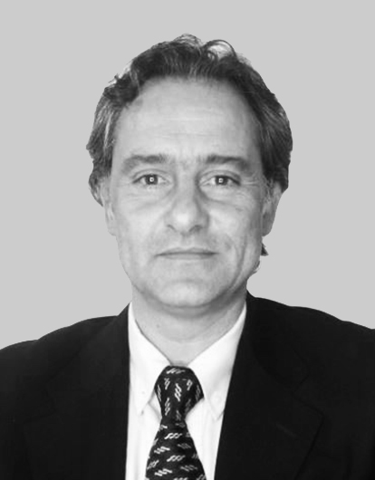 Rodolfo Faccini | Consulting Professional